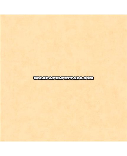 Papel Pintado BETON 2 Ref. BTO-101483100.