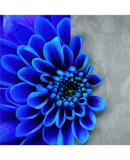 Papel Pintado VISION Ref. Z76049.