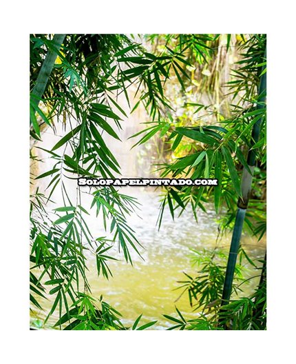 Mural MAGIC WALLS Ref. M-363364.