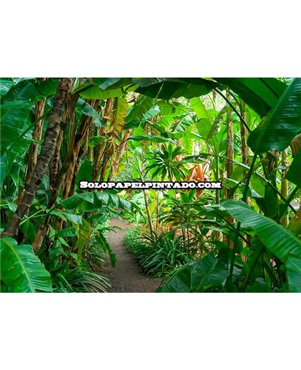 Mural MAGIC WALLS Ref. M-363784.