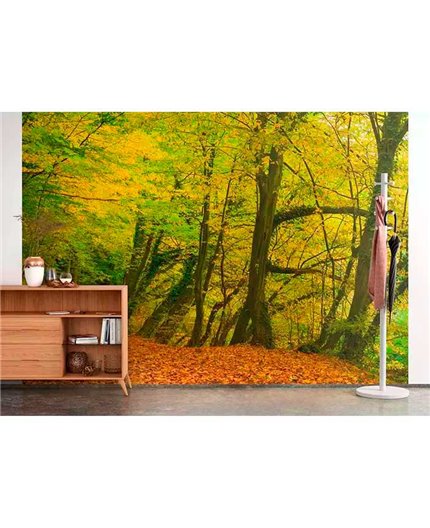 Mural MAGIC WALLS Ref. M-363753.