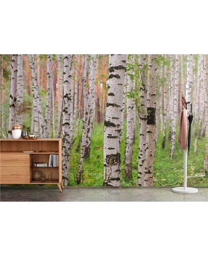 Mural MAGIC WALLS Ref. M-848359.