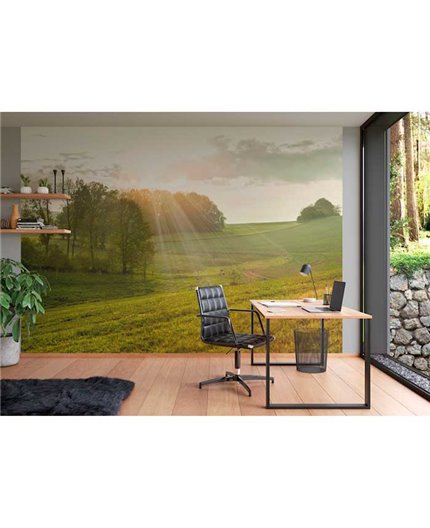 Mural MAGIC WALLS Ref. M-363432.