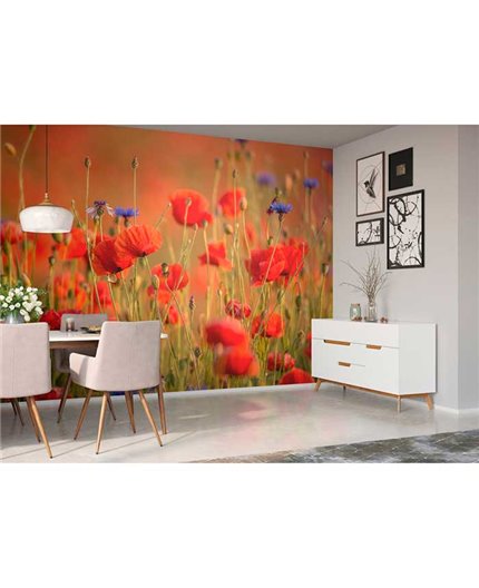 Mural MAGIC WALLS Ref. M-363371.