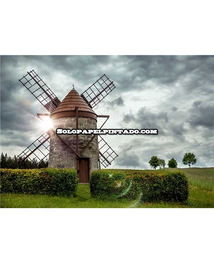 Mural MAGIC WALLS Ref. M-363463.