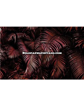 Mural MAGIC WALLS Ref. M-363081.