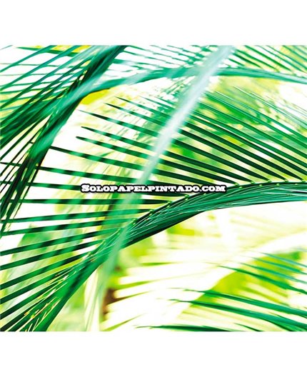 Mural MAGIC WALLS Ref. M-890501.