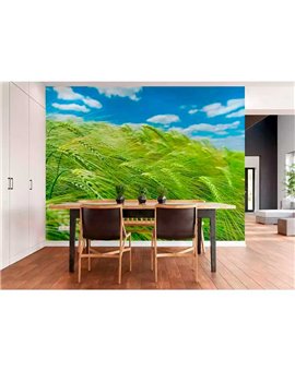 Mural MAGIC WALLS Ref. M-363746.