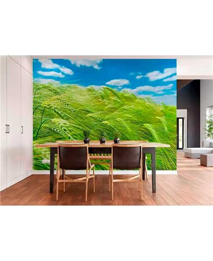 Mural MAGIC WALLS Ref. M-363746.