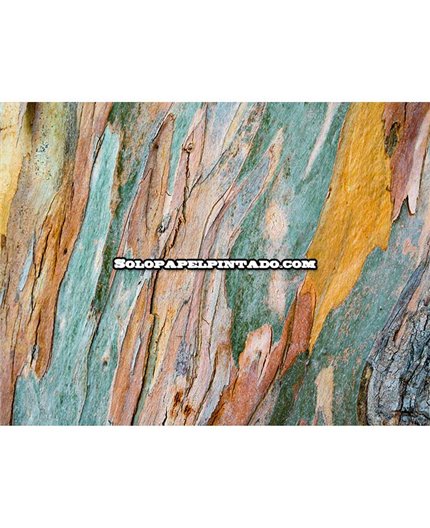 Mural MAGIC WALLS Ref. M-101096.