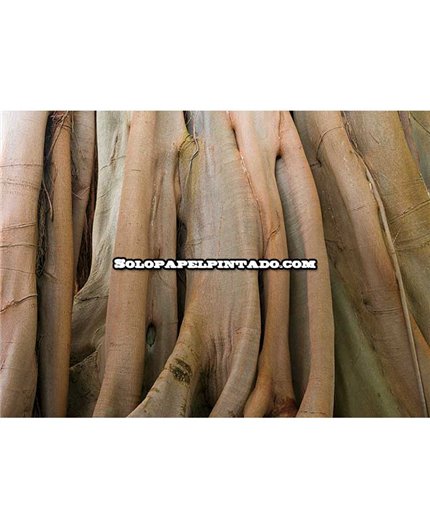 Mural MAGIC WALLS Ref. M-363791.