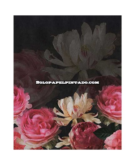 Mural MAGIC WALLS Ref. M-363470.