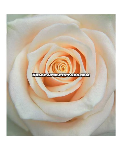 Mural MAGIC WALLS Ref. M-839654.