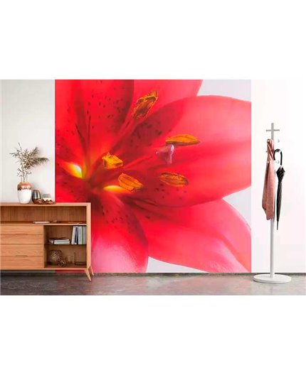 Mural MAGIC WALLS Ref. M-890051.