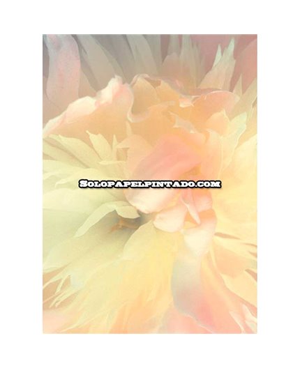 Mural MAGIC WALLS Ref. M-839807.