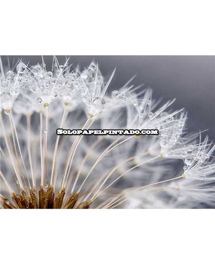 Mural MAGIC WALLS Ref. M-363333.