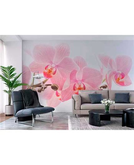 Mural MAGIC WALLS Ref. M-838350.