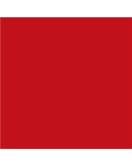 PLASTICO JUNOPROF MATE CALIDAD SUPERIOR (OFERTA) COLOR RAL 3020