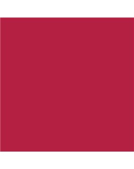 PLASTICO JUNOPROF MATE CALIDAD SUPERIOR (OFERTA) COLOR RAL 3027