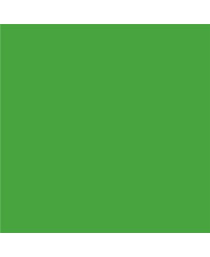 PLASTICO JUNOPROF MATE CALIDAD SUPERIOR (OFERTA) COLOR RAL 6018 PLASTICO JUNOPROF MATE CALIDAD SUPERIOR (OFERTA) COLOR RAL 6018