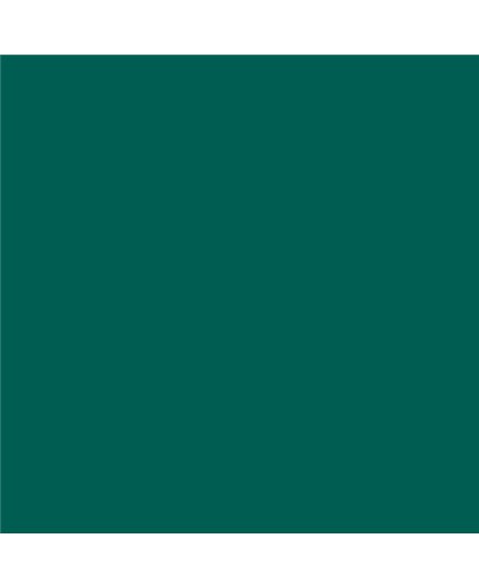 PLASTICO JUNOPROF MATE CALIDAD SUPERIOR (OFERTA) COLOR RAL 6026 PLASTICO JUNOPROF MATE CALIDAD SUPERIOR (OFERTA) COLOR RAL 6026