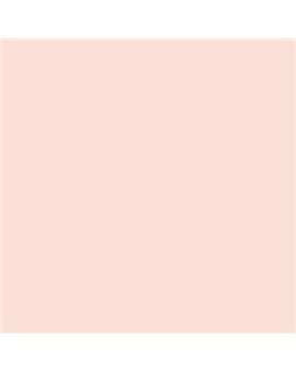 PLASTICO JUNOPROF MATE CALIDAD SUPERIOR (OFERTA) COLOR S 0510-Y80R