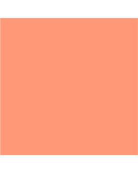 PLASTICO JUNOPROF MATE CALIDAD SUPERIOR (OFERTA) COLOR S 0550-Y70R