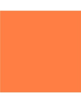 PLASTICO JUNOPROF MATE CALIDAD SUPERIOR (OFERTA) COLOR S 0570-Y60R-GL