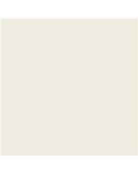 PLASTICO JUNOPROF MATE CALIDAD SUPERIOR (OFERTA) COLOR S 0603-G80Y