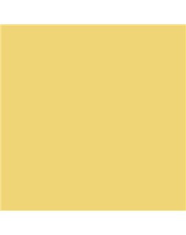 PLASTICO JUNOPROF MATE CALIDAD SUPERIOR (OFERTA) COLOR S 1040-Y