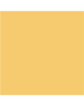 PLASTICO JUNOPROF MATE CALIDAD SUPERIOR (OFERTA) COLOR S 1040-Y10R