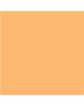 PLASTICO JUNOPROF MATE CALIDAD SUPERIOR (OFERTA) COLOR S 1040-Y30R