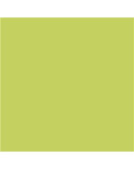 PLASTICO JUNOPROF MATE CALIDAD SUPERIOR (OFERTA) COLOR S 1050-G60Y