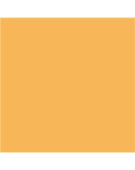 PLASTICO JUNOPROF MATE CALIDAD SUPERIOR (OFERTA) COLOR S 1050-Y20R