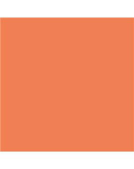PLASTICO JUNOPROF MATE CALIDAD SUPERIOR (OFERTA) COLOR S 1060-Y60R