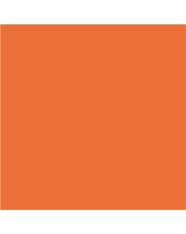 PLASTICO JUNOPROF MATE CALIDAD SUPERIOR (OFERTA) COLOR S 1070-Y60R-GL