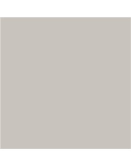 PLASTICO JUNOPROF MATE CALIDAD SUPERIOR (OFERTA) COLOR S 2002-Y50R