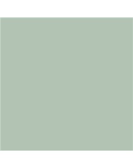 PLASTICO JUNOPROF MATE CALIDAD SUPERIOR (OFERTA) COLOR S 2010-G20Y