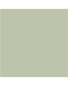 PLASTICO JUNOPROF MATE CALIDAD SUPERIOR (OFERTA) COLOR S 2010-G50Y
