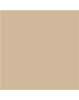 PLASTICO JUNOPROF MATE CALIDAD SUPERIOR (OFERTA) COLOR S 2010-Y40R