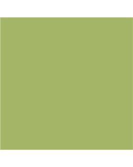 PLASTICO JUNOPROF MATE CALIDAD SUPERIOR (OFERTA) COLOR S 2040-G50Y