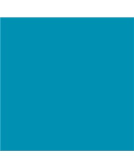PLASTICO JUNOPROF MATE CALIDAD SUPERIOR (OFERTA) COLOR S 2055-B10G