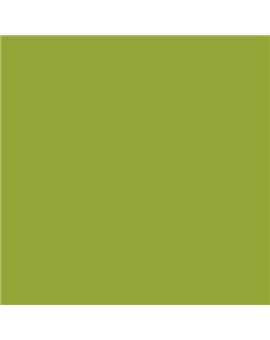 PLASTICO JUNOPROF MATE CALIDAD SUPERIOR (OFERTA) COLOR S 2060-G50Y