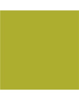 PLASTICO JUNOPROF MATE CALIDAD SUPERIOR (OFERTA) COLOR S 2060-G70Y