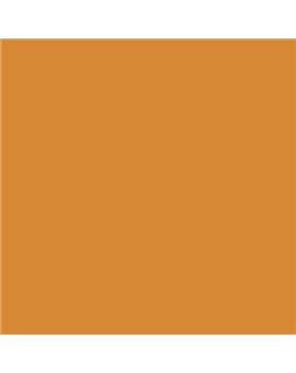 PLASTICO JUNOPROF MATE CALIDAD SUPERIOR (OFERTA) COLOR S 2060-Y30R-GL