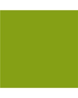 PLASTICO JUNOPROF MATE CALIDAD SUPERIOR (OFERTA) COLOR S 2070-G50Y