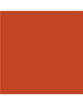 PLASTICO JUNOPROF MATE CALIDAD SUPERIOR (OFERTA) COLOR S 2075-Y70R