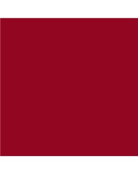 PLASTICO JUNOPROF MATE CALIDAD SUPERIOR (OFERTA) COLOR S 2570-R