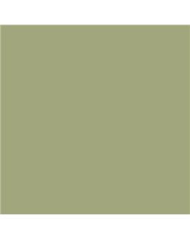 PLASTICO JUNOPROF MATE CALIDAD SUPERIOR (OFERTA) COLOR S 3020-G60Y