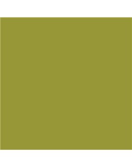 PLASTICO JUNOPROF MATE CALIDAD SUPERIOR (OFERTA) COLOR S 3050-G70Y
